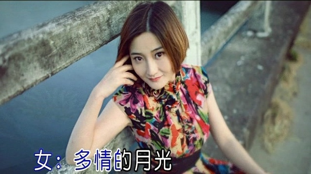 高安 - 梦醉荷塘 (KTV版)