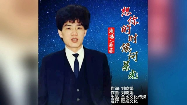 菲菲 - 想你的时候问星光 (KTV版)