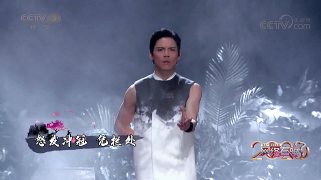 向佐 - 龙的传人 (2020央视网络春晚) (Live)