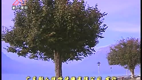 谢华 - 如果伤害了我你会好过 (KTV版)