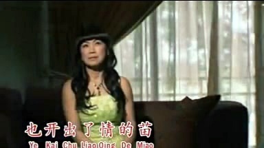 叶灵 - 爱人不见了 (KTV版)