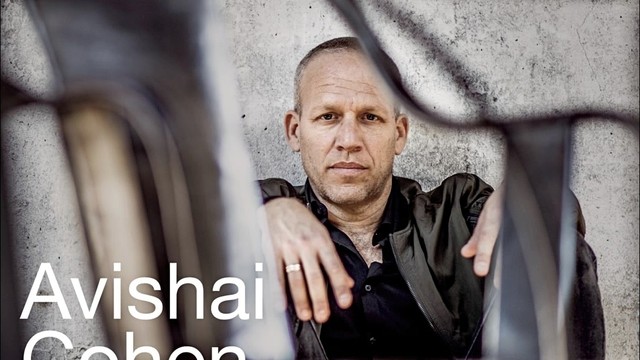 Avishai Cohen - Blinded (Laurent Pepper Rework)