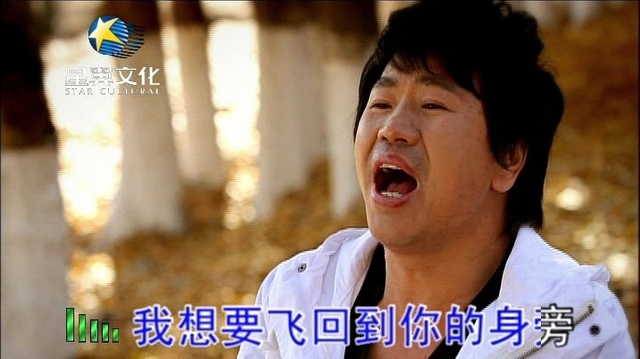 窦老三 - 归鸟 (KTV版)