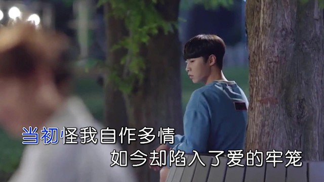 王桂海 - 爱情好像一阵狂风 (KTV版)