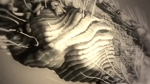 Max Cooper - Fragments Of Self