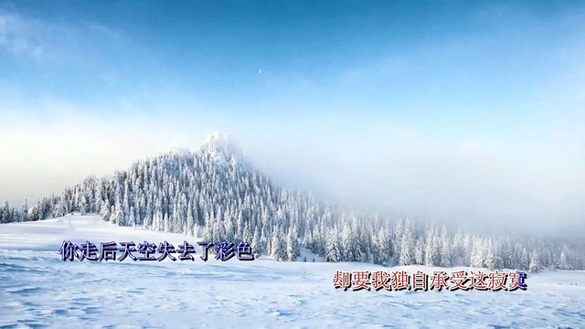 陈建平 - 这一切都是你犯的错 (KTV版)