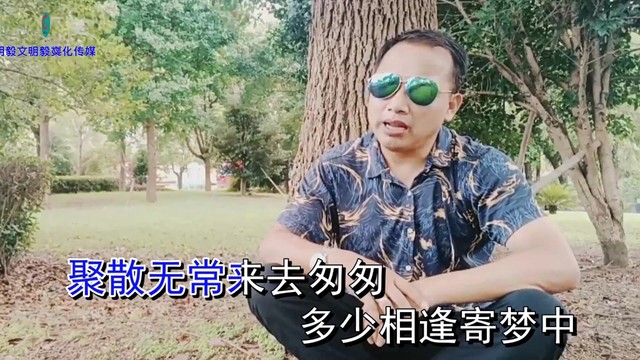 王桂海 - 相思入骨 (KTV版)