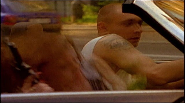 Daniel Landa - Motýlek