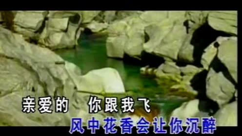 郑源 - 两只蝴蝶 (KTV版)