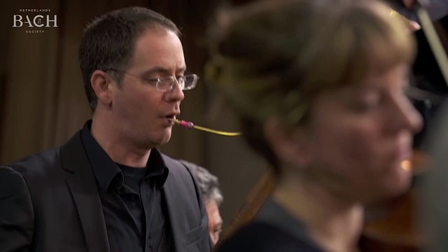 Jos van Veldhoven - Bach - Sanctus in D major BWV 238 (Live)