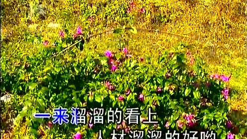 郁钧剑 - 康定情歌 (KTV版)