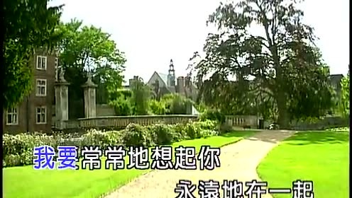 杨燕 - 小小茉莉 (KTV版)