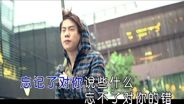 龙军 - 来不及说对不起 (KTV版)