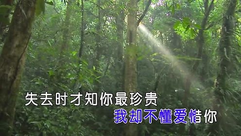 周峰 - 心里总有你 (KTV版)