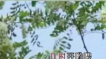 李琳 - 槐花几时开 (KTV版)