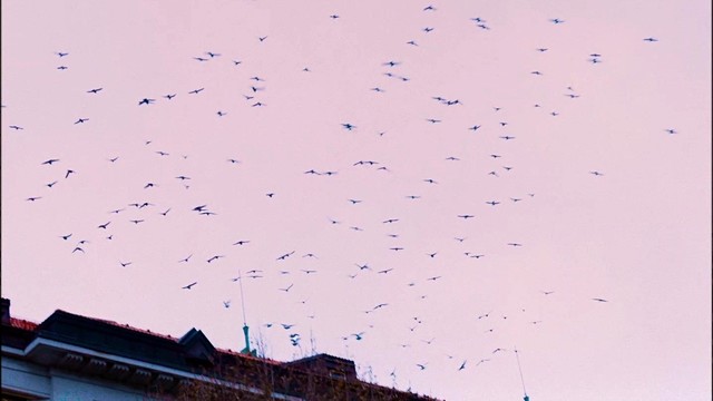 Poetic Narrator - 너의 슬픔을 오늘 내가 반을 가져가 줄게