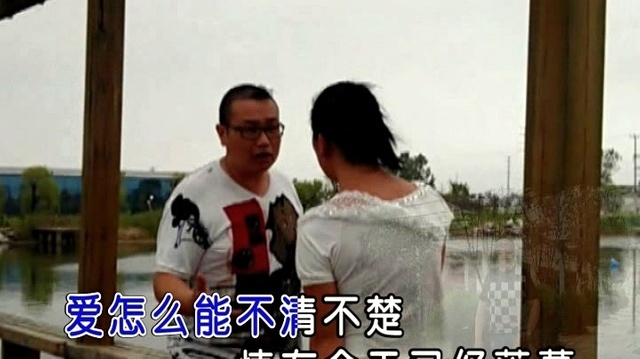 张兵 - 我不会祝你幸福 (KTV版)