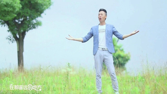 王平 - 心爱的姑娘