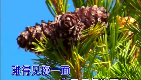 包娜娜 - 难相见又怕见