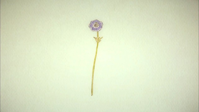 コレサワ - パープル