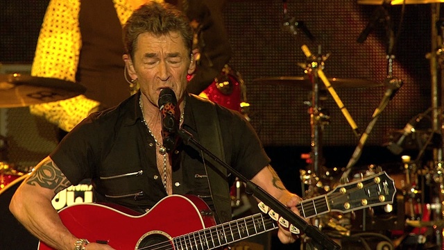 Peter Maffay - Lass mich in dein Herz (Live @ Zenith) (Live)