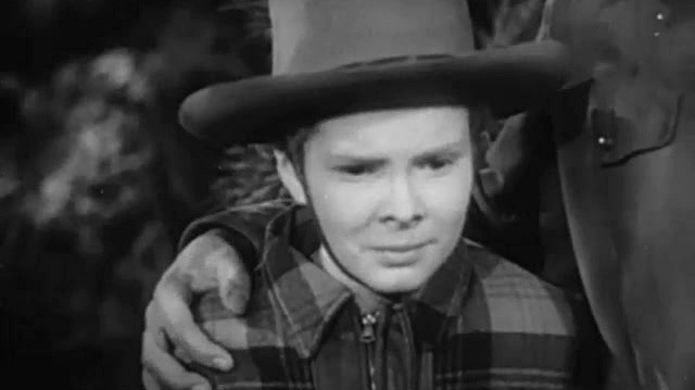 Quasi - Little White Horse