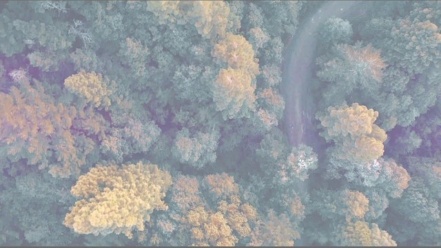 Dread Mar I - Se Tuvo Que Ir (歌词版)