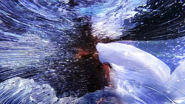 caro♡ - sad song 77