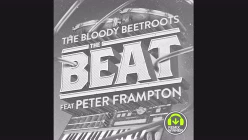 The Bloody Beetroots - The Beat (Tom Budin Remix音频版)