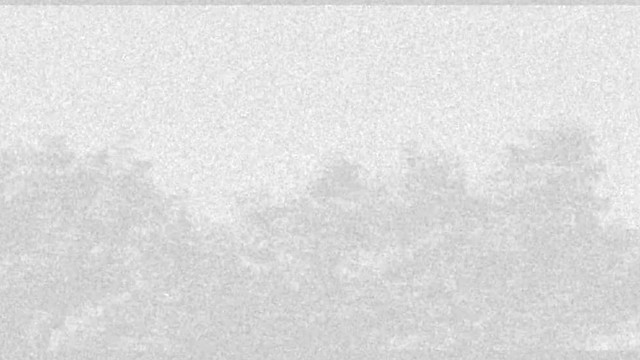 邵雨薇 - 好想跟你走 (歌词版)