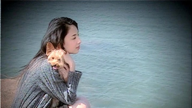 郑希怡 - 痛由自取