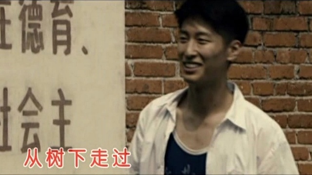 谢妤 - 山楂树之恋 (KTV版)