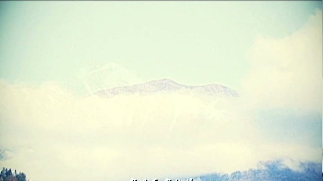 旺姆 - 回家过年