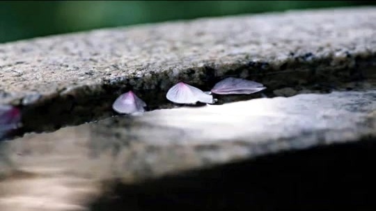 黄慧音 - 大悲咒 (音频版)