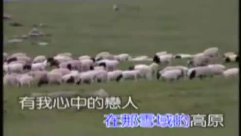 央金 - 心中的恋人 (KTV版)