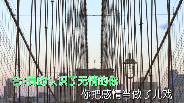 似水依人 - 真情换来的泪滴 (KTV版)