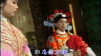 蔡法 - 刁蛮公主 (KTV版)