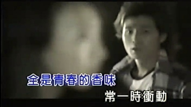 罗美玲 - 青春的香味 (KTV版)