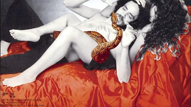 Zé Ramalho - O Tolo na Colina(The Fool On The Hill) (音频版)