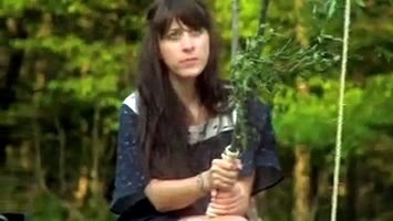 Au Revoir Simone - Fallen Snow