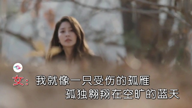 陈建平 - 默默的把你期盼 (对唱版)