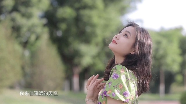 高楠 - 太阳之光