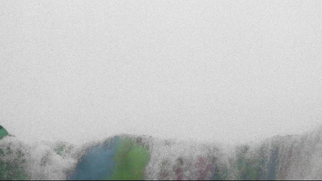 Laura Doggett - Phoenix