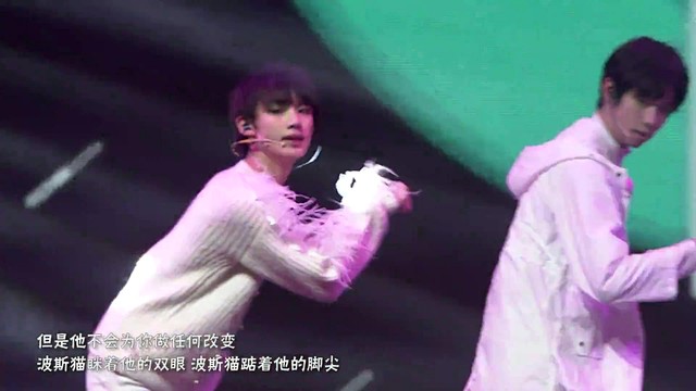 TF家族 - 波斯猫 (Live)