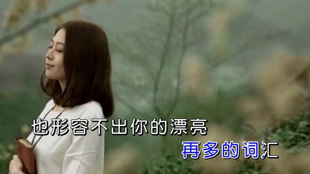 廖伟鉴 - 龙南之恋 (KTV版)