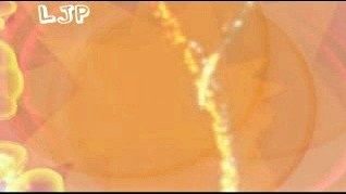 DJ - 等爱的玫瑰 (KTV版)