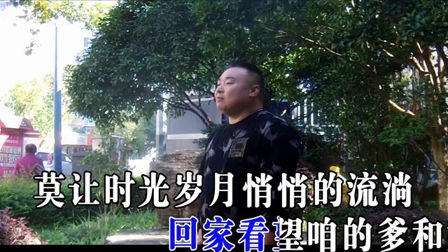 贾富营 - 游子归 (KTV版)