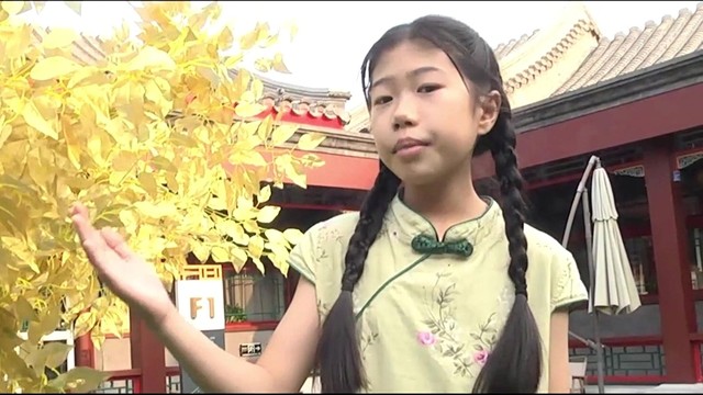 吕佳羽 - 大国中医
