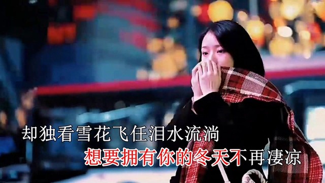 赵洋 - 想要拥有你的冬 (KTV版)