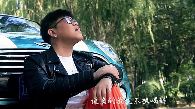 刘译阳 - 不想喝醉